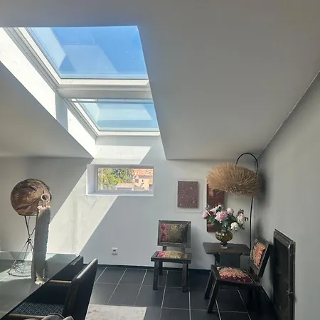 Loft Entier De Charme Centre 600m De La *